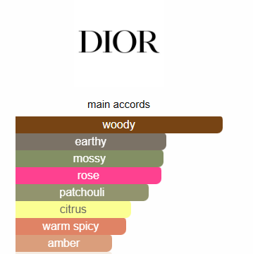 Gris Dior Dior